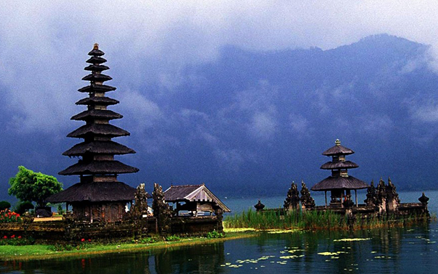 Dolphin Bali, Купание с дельфинами на бали, Дельфины на бали