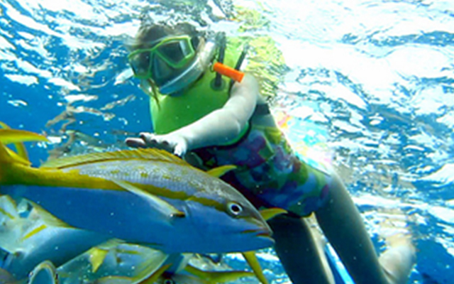 Дайвинг на бали, Погружение с аквалангом на бали, Diving Bali
