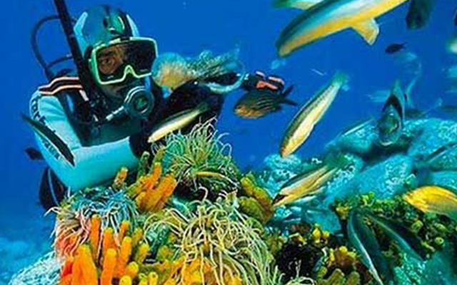 Дайвинг на бали, Погружение с аквалангом на бали, Diving Bali