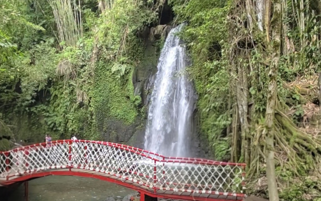 Экскурсии на бали, swing, ubud bali, Обзорная экскурсия