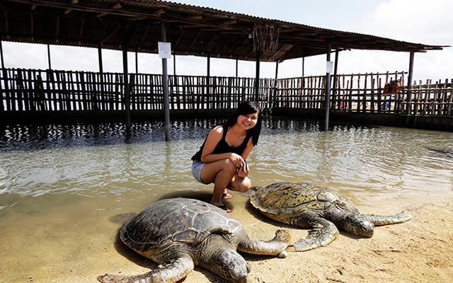 Экскурсии на бали, Turtle island, Остров черепах