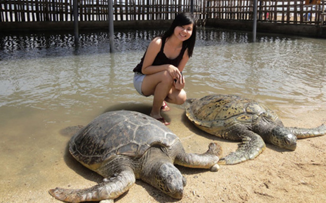 Экскурсии на бали, Остров черепах, Turtle island